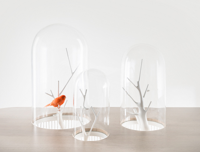 Archibird_foto_2